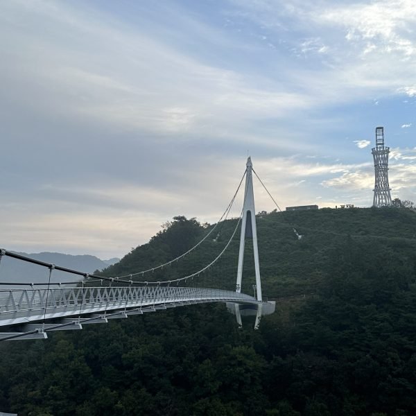 P20230929_065242407_8BD89C59-026B-43FC-8C3D-F94E1438821F